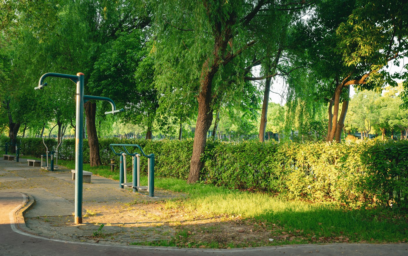 Outdoor fitness equipment along a park path, generic illustrative photo